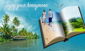 Enjoy Honeymoon in Kerala on Budget with Us Dream Holidays